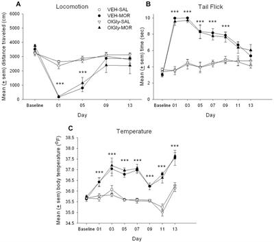 N-Oleoylglycine and N-Oleoylalanine Do Not Modify Tolerance to Nociception, Hyperthermia, and Suppression of Activity Produced by Morphine